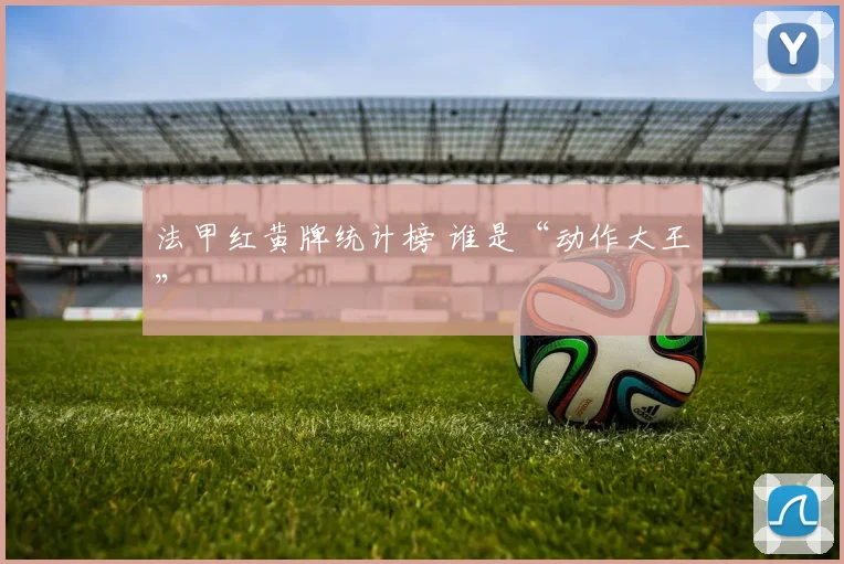 法甲红黄牌统计榜 谁是“动作大王”