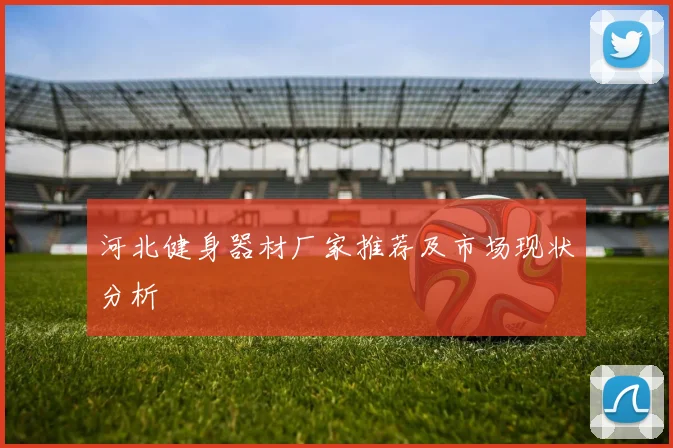 河北健身器材厂家推荐及市场现状分析