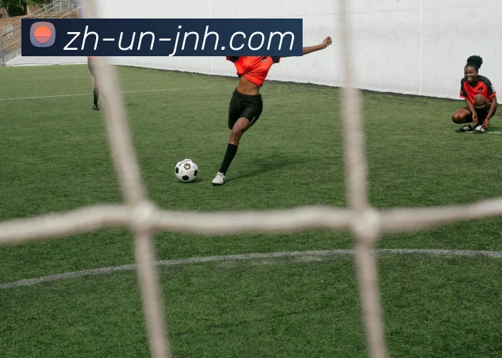 金年会体育发展历程