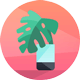 舒镇屹